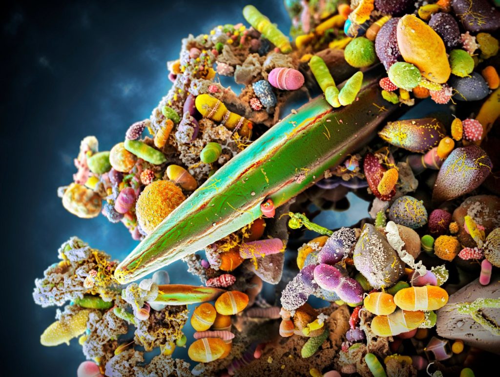How trillions of microbes affect every stage of our life—from birth to ...